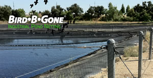 Bird B Gone Pond Net