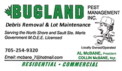 Bugland Debris Removal & Lot Maintenance